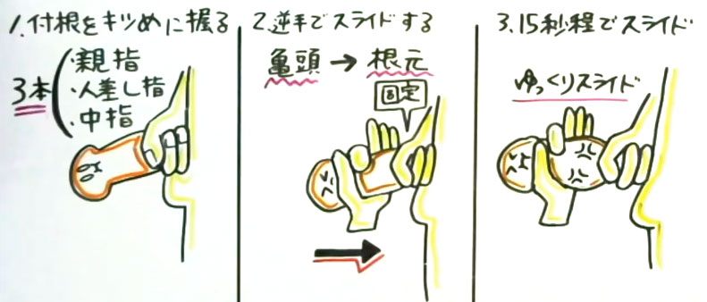 ペニス増大チントレ法１７種 理論的完全マニュアル版 イラスト図解 セクテクサイト