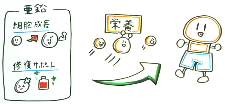 UN TRAUMATISME PEUT-IL CAUSER L'IMPUISSANCE